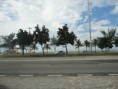 /album/galeria-de-fotos-tavares-imoveis/dsc02716-jpg/